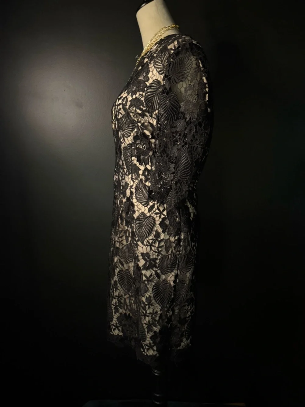 Elegant Black Lace Sheath Dress with Nude Lining - Picture 4 of 7